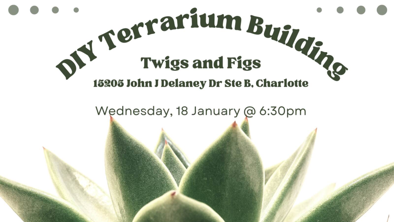 diy-terrarium-building-uso-of-north-carolina
